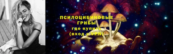 бутират Козловка