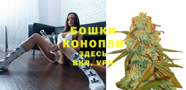 стаф Кущёвская