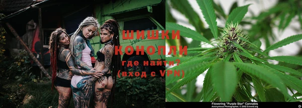 бутират Козловка